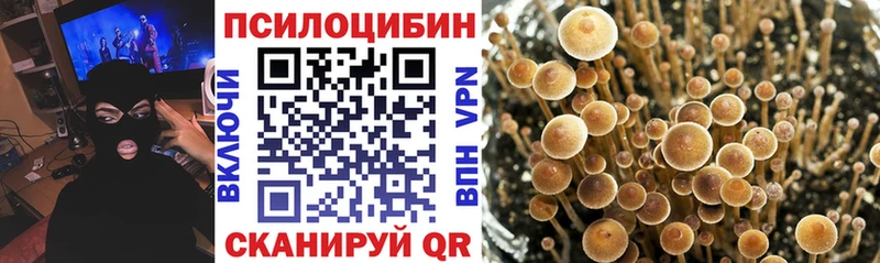 Псилоцибиновые грибы GOLDEN TEACHER  Купить закладки  Южно-Сухокумск 